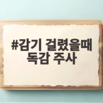 감기 걸렸을때 독감 주사 맞아도 되는 경우와 미뤄야 하는 경우 감기 걸렸을때 독감 주사