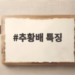 추황배 특징 투박한 겉모습과 달리 새콤달콤한 속맛이 있습니다 추황배 특징