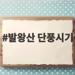 발왕산 단풍시기 10월 초중순 절정 케이블카로 만나는 가을 발왕산 단풍시기