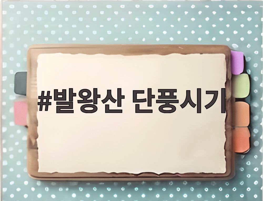발왕산 단풍시기