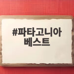 파타고니아 베스트 가을부터 겨울까지 입는 플리스 조끼 이야기 파타고니아 베스트
