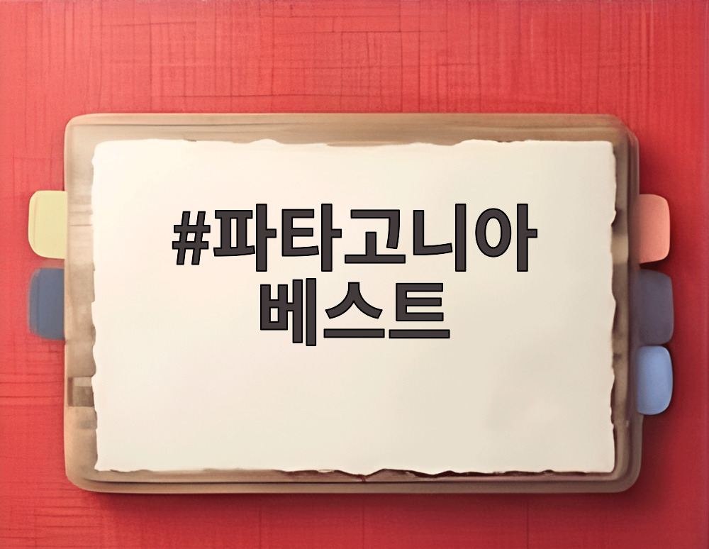 파타고니아 베스트