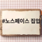 노스페이스 집업 엣지라인 하나로 가을부터 초겨울까지 입는 법 노스페이스 집업