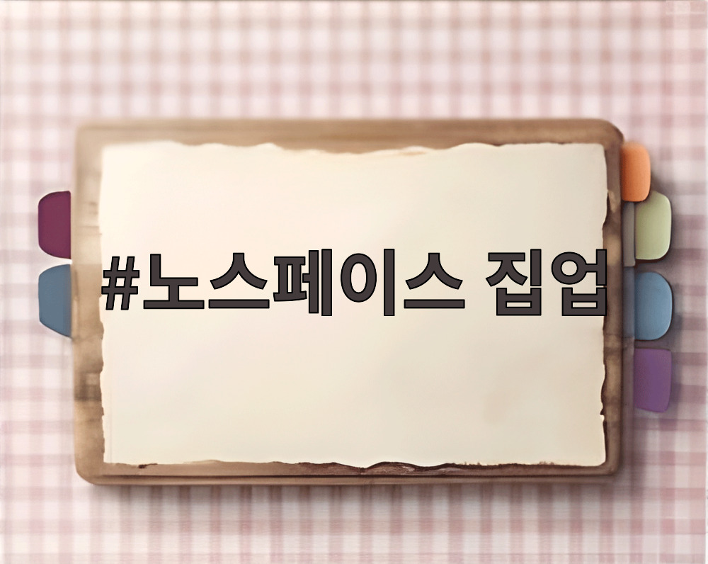 노스페이스 집업