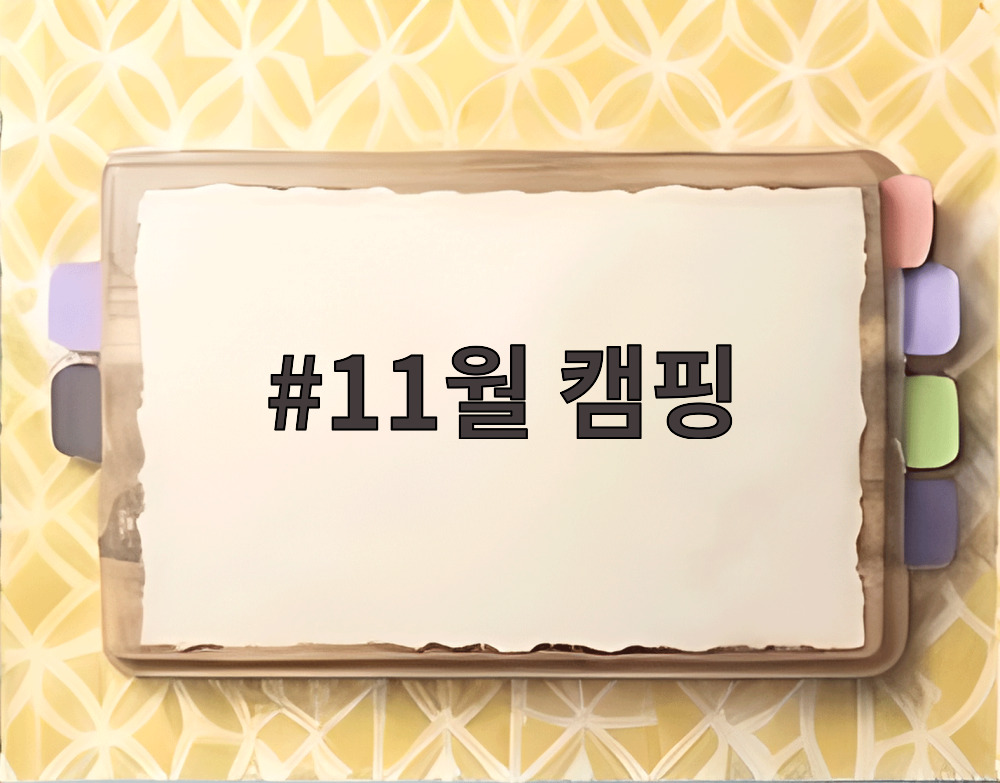 11월 캠핑