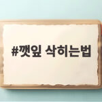 깻잎 삭히는법 이렇게 하면 1년 내내 맛있는 깻잎김치 만들 수 있어요 깻잎 삭히는법