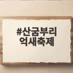 산굼부리 억새축제 10월 절정 시기와 주차 꿀팁 산굼부리 억새축제