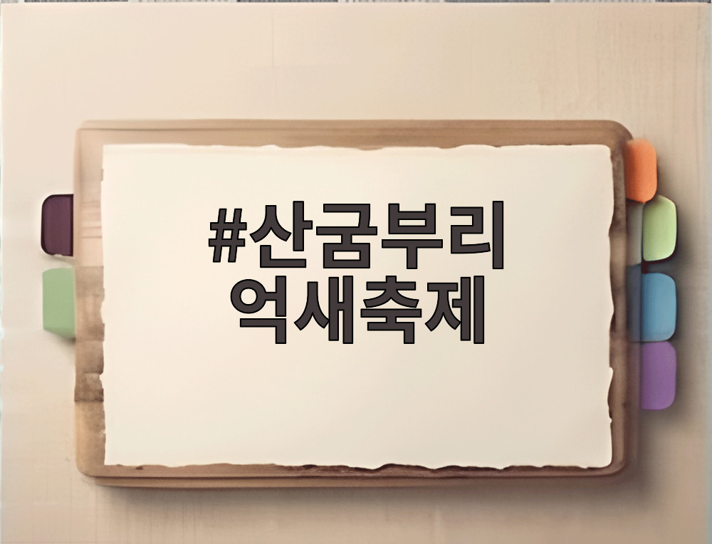 산굼부리 억새축제