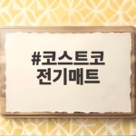 코스트코 전기매트 보이러 전기요 세탁과 전기세 궁금하다면 코스트코 전기매트