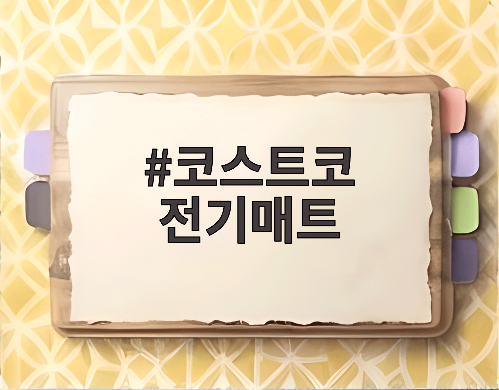 코스트코 전기매트