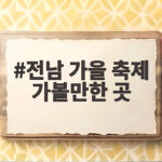 전남 가을 축제 가볼만한 곳 10월 한 달 내내 즐기는 주말 나들이 전남 가을 축제 가볼만한 곳