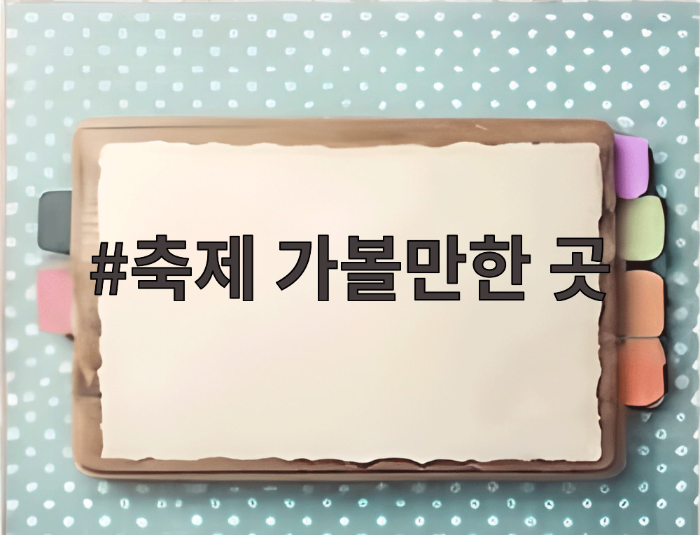 축제 가볼만한 곳
