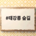 태강릉 숲길 가을 개방 언제부터 입장료 주차 스탬프투어 확인 태강릉 숲길