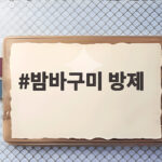 밤바구미 방제