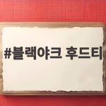블랙야크 후드티로 완성하는 겨울 레이어드 스타일과 보온성 블랙야크 후드티
