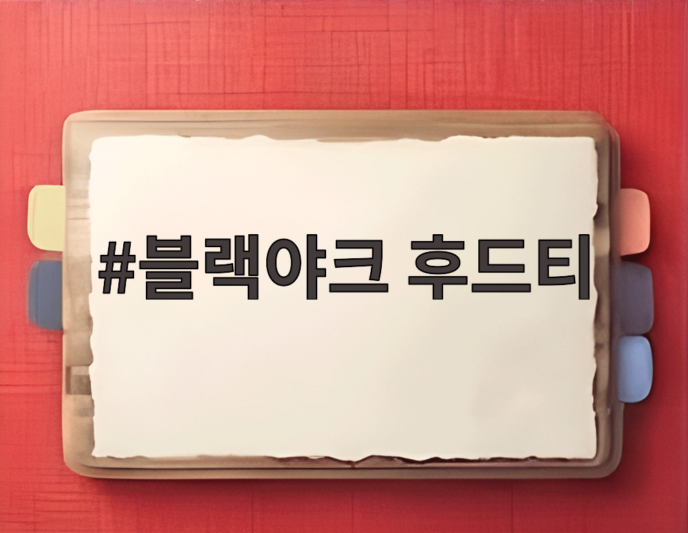 블랙야크 후드티
