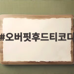 오버핏후드티코디 가을에 이렇게 입으면 정말 편해요 오버핏후드티코디