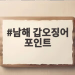 남해 갑오징어 포인트 어디가 좋을까 워킹 에깅 총정리 남해 갑오징어 포인트