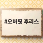 오버핏 후리스