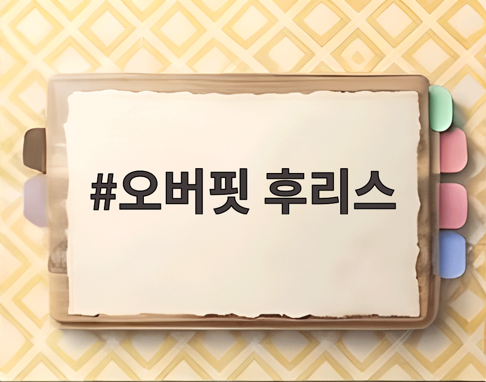 오버핏 후리스