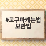 고구마캐는법 보관법 이것만 지키면 초보도 걱정 없습니다 고구마캐는법 보관법
