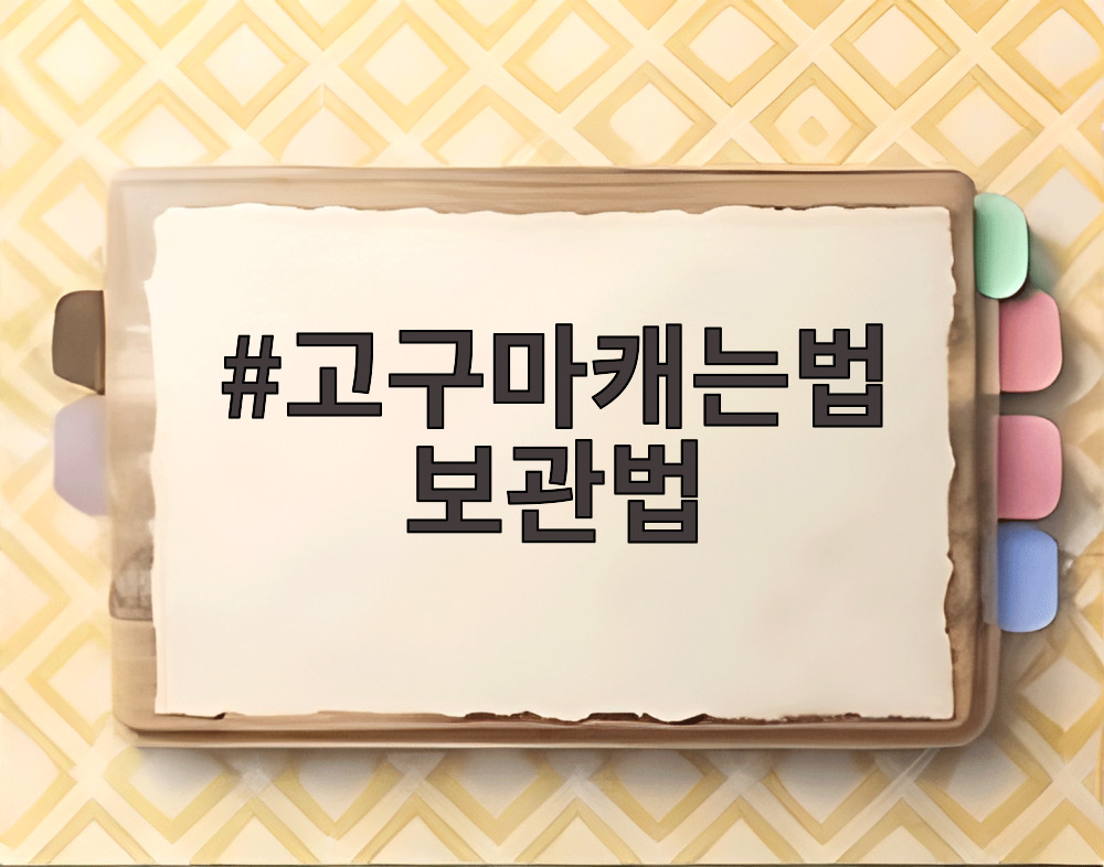 고구마캐는법 보관법