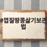 껍질땅콩삶기보관법 제대로 알면 부드럽고 오래 보관할 수 있어요 껍질땅콩삶기보관법