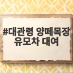 대관령 양떼목장 유모차 대여는 없어요 아기띠가 답입니다 대관령 양떼목장 유모차 대여
