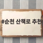 순천 산책로 추천 계절마다 다른 풍경과 야경 맛집 카페 초보자 걷기 정보까지 순천 산책로 추천