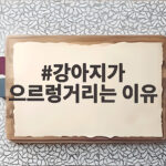 강아지가 으르렁거리는 이유 혼내면 더 위험한 진짜 신호 강아지가 으르렁거리는 이유