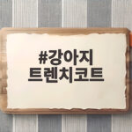 강아지 트렌치코트 가을맞이 패션 준비 이렇게 하세요 강아지 트렌치코트