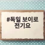 독일 보이로 전기요 밤마다 차가운 침대 이렇게 해결했습니다 독일 보이로 전기요
