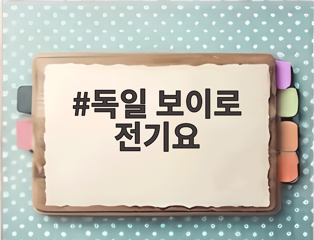 독일 보이로 전기요