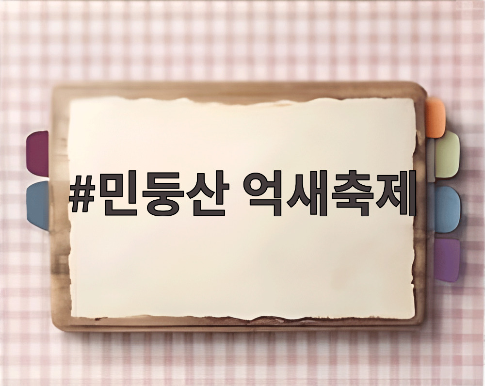 민둥산 억새축제