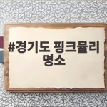 경기도 핑크뮬리 명소에서 가을 분홍빛 추억 만들기 경기도 핑크뮬리 명소