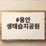 용안 생태습지공원