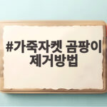 가죽자켓 곰팡이 제거방법 이것만 알면 겨울 걱정 없습니다 가죽자켓 곰팡이 제거방법