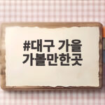 대구 가을 가볼만한곳 5곳 지금 떠나기 좋은 이유 대구 가을 가볼만한곳