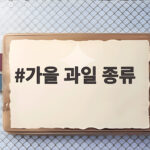 가을 과일 종류 제철 과일로 채우는 10월 건강 식탁 가을 과일 종류