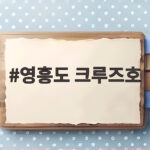 영흥도 크루즈호 쭈꾸미 낚시배 타려면 이것만 확인하세요 영흥도 크루즈호