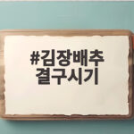 김장배추 결구시기