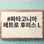 파타고니아 레트로 후리스 L 입으면 핏이 이렇게 달라요 파타고니아 레트로 후리스 L
