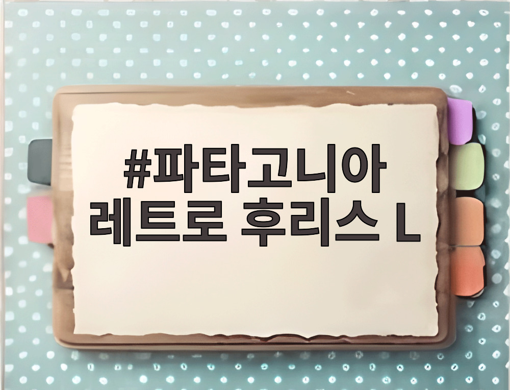 파타고니아 레트로 후리스 L