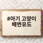 아기 고양이 배변유도 시기와 방법 이렇게 도와주세요 아기 고양이 배변유도