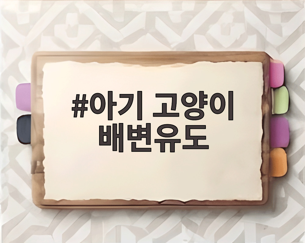 아기 고양이 배변유도