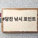 당진 낚시 포인트