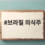 브라질 의식주 한눈에 보는 전통 음식과 가옥 의상 문화 브라질 의식주