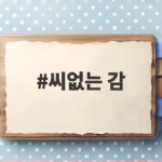씨없는 감