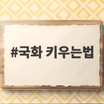 국화 키우는법