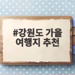 강원도 가을 여행지 추천 단풍 명소와 가을꽃 축제를 만나는 시간 강원도 가을 여행지 추천